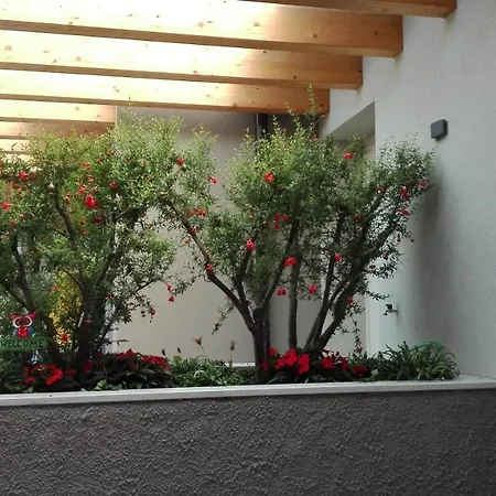Casa Pergola 2 Bardolino